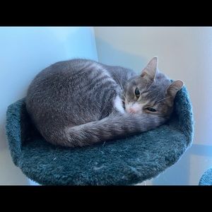 Meet your Posher, Ava